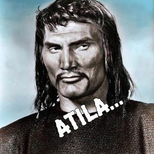 Meet your Posher, Raul